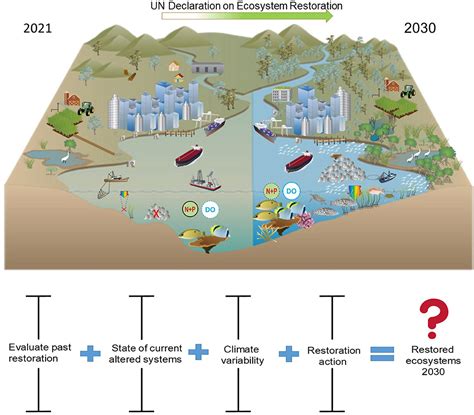 Frontiers | UN Decade on Ecosystem Restoration 2021–2030—What Chance ...