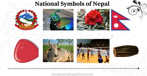 Nepal National Symbols: Flag, Emblem, Animal, Bird & Flower