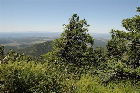 Arizona Hiking: Some Kaibab National Forest trails temporarily closed