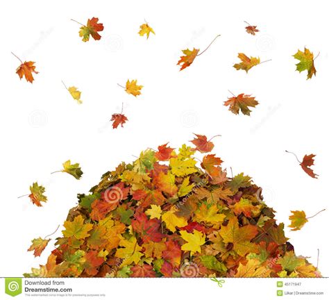 Pile Of Fall Leaves Clip Art