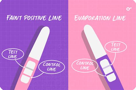 What is an Evaporation Line on a Pregnancy Test? - Inito