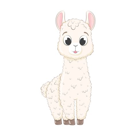 Llama Cartoon