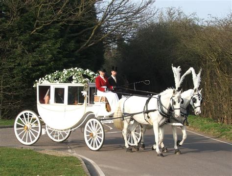 horse and carriage rental for wedding - Glady Zapata