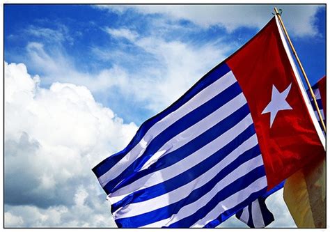 West Papua flag | West papua, Papua, Flag