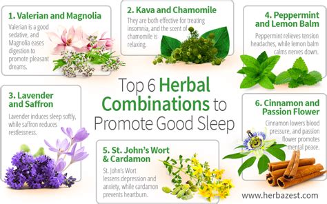 Top 6 Herbal Combinations to Promote Good Sleep | Herbs for sleep ...