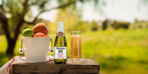 Sparkling Cider 8.4oz - Sparkling Juices - S. Martinelli & Co