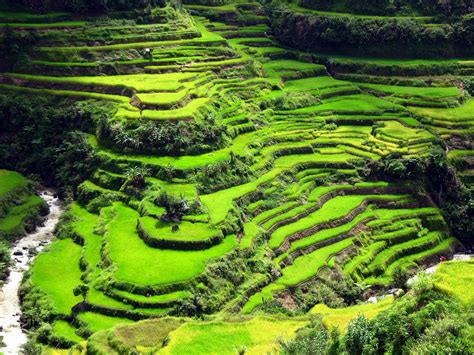 banaue rice terraces wallpaper - Google Search | Banaue rice terraces ...