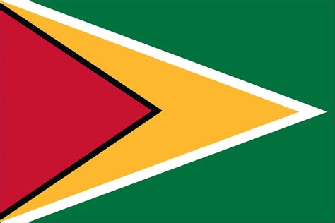 Guyana Flag For Sale | Buy Guyana Flag Online