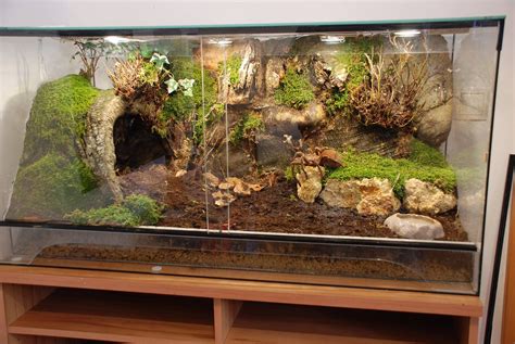 Timeline Photos - Aquarismo Alagoano | Reptile habitat, Gecko terrarium ...