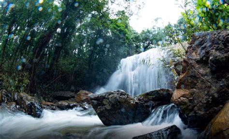 Best Coorg Resort with Swimming Pool & Waterfalls The best resort in Coorg