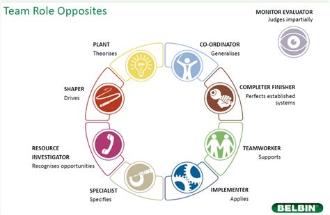 Ideally Update renewable resource belbin team roles completer finisher ...