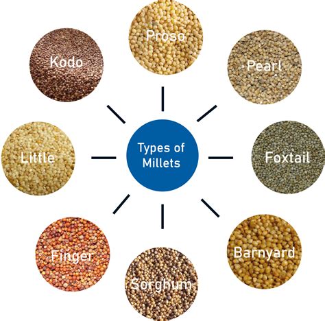 Types And Benefits Of Millets – NutritionFact.in