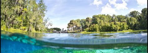 Silver Springs State Park – World Famous Glass Bottom Boats | Glass ...