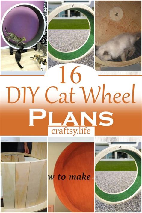 16 DIY Cat Wheel Plans To Make At Home - Craftsy