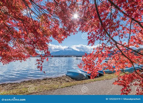 Autumn Season and Mountain Fuji at Lake Kawaguchiko Stock Image - Image ...