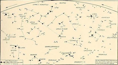 Castor and Pollux