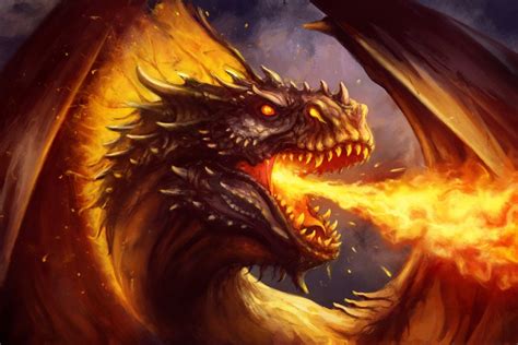 Fire Dragon by PaladinPainter | Fire dragon, Dragon art, Dragon artwork