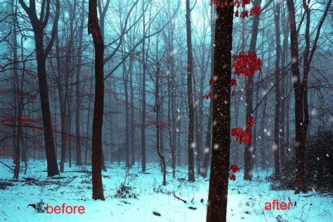 Falling Snow Overlays on Behance