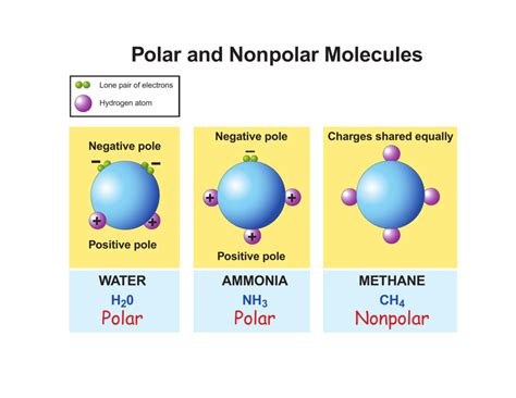 Polar and Nonpolar Molecules