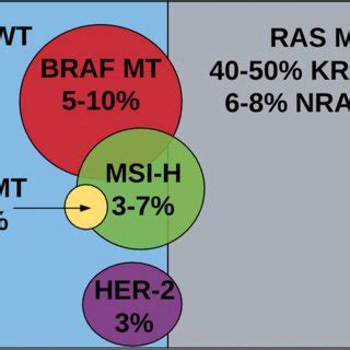 Overview of molecular biomarkers in metastatic colorectal cancer. WT ...