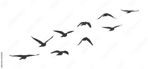 Flock Of Birds Flying Clipart Black