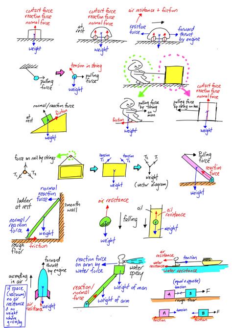 Free-body Diagram | Body diagram, Physics notes, Learn physics