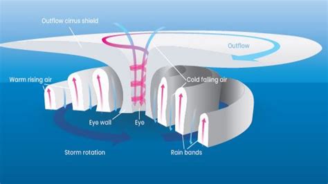 Formation Of A Cyclone Diagram