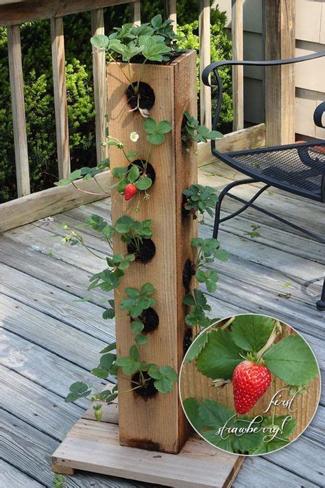 DIY Strawberry Planter Ideas