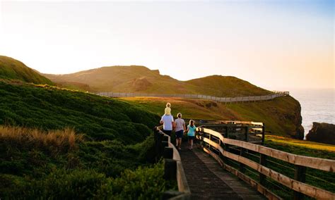 Phillip Island Nature Parks Multi Park Pass