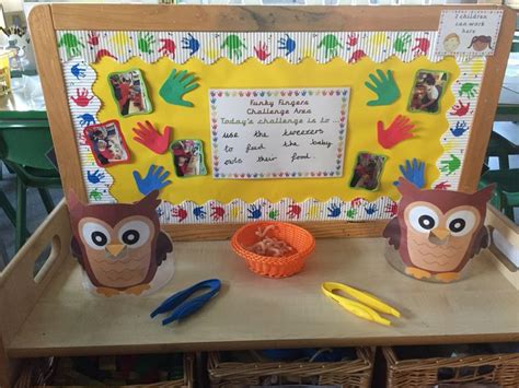 Feeding the Owl babies | Eule, Kindergarten, Eule mit der beule