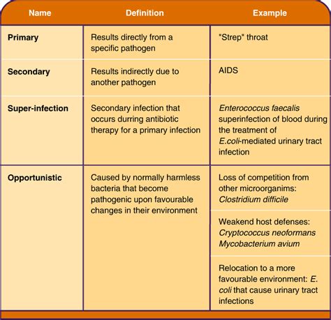 Basic Bacteriology: Categories of Infections