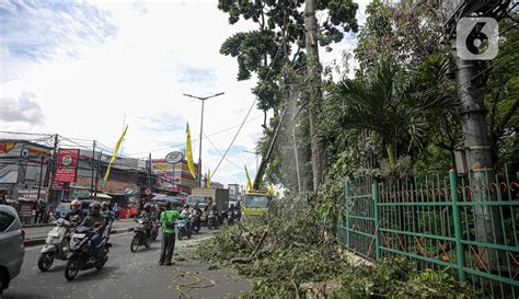 Antisipasi Pohon Tumbang Akibat Cuaca Buruk - Foto Liputan6.com