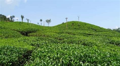 10 Best Things To Do In Chikmagalur For An Astonishing Holiday | Travel ...