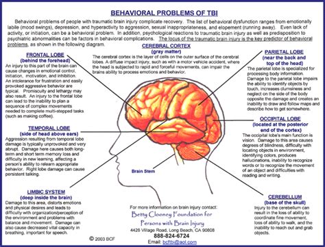 Muddling through Mayhem: Books and Methods Review - Traumatic Brain ...