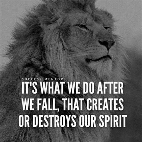 I'm starting to think my spirit animal is a lion! Inspirational Quotes ...