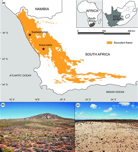 Spatial delimitation of Succulent Karoo and the two study areas (a ...