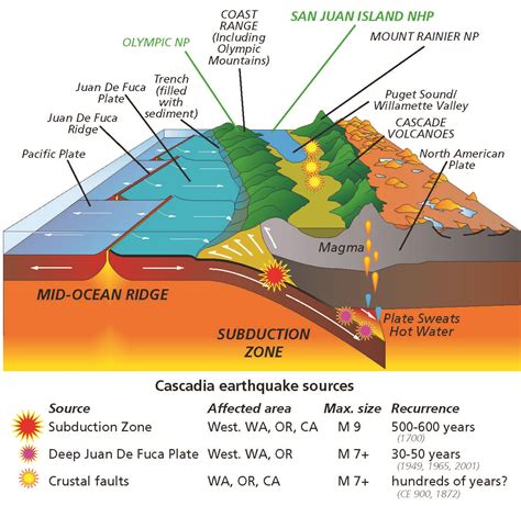 Possible megaquake brewing in Washington – The Watchdog