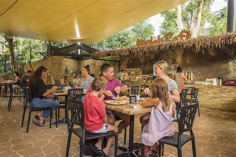 Discover the Best Family Friendly Cafes in Hamilton – Hello Kids Fun