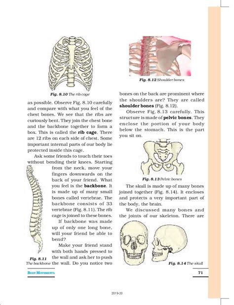 NCERT Book Class 6 Science Chapter 8 Light, Shadows and Reflections ...