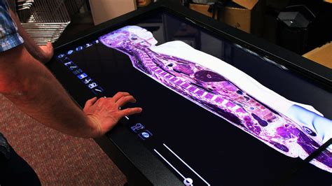 Exploring Human Anatomy with the Anatomage Table ⋆ X-Reality ...