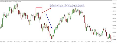 Bearish Pin Bar Candlestick Pattern - The Forex Geek