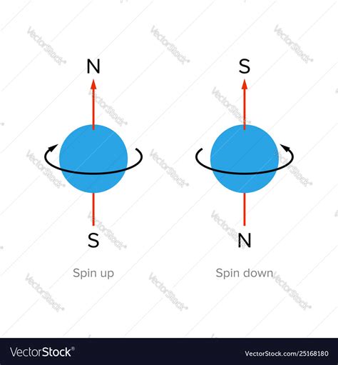 Quantum spin mechanical model Royalty Free Vector Image