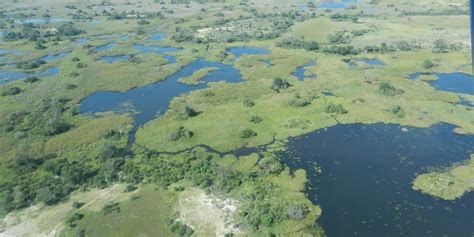 Conservation Trust Funds and the Cubango-Okavango River Basin ...