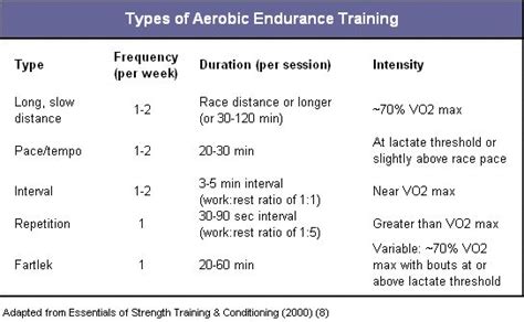 Aerobic Endurance Training - Sport Fitness Advisor