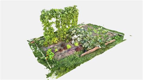 Vegetable garden - 3D model by Alexandre Spontak (@alexspontak ...