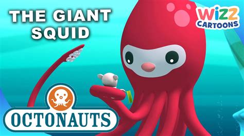 @Octonauts - The Giant Squid | S1:EP6 Full Episode | @WizzCartoons ...