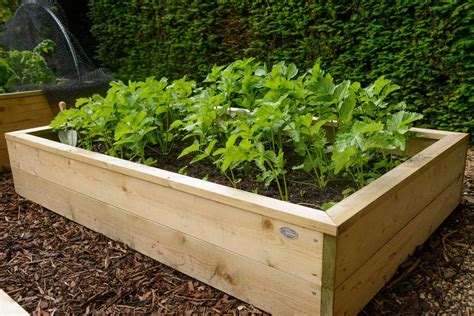 Standard Wooden Raised Beds - Harrod Horticultural