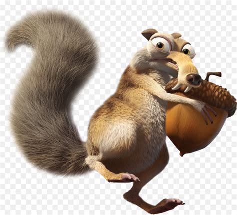 Scrat Ice Age Film YouTube Animation - squirrel png download - 1024*932 ...