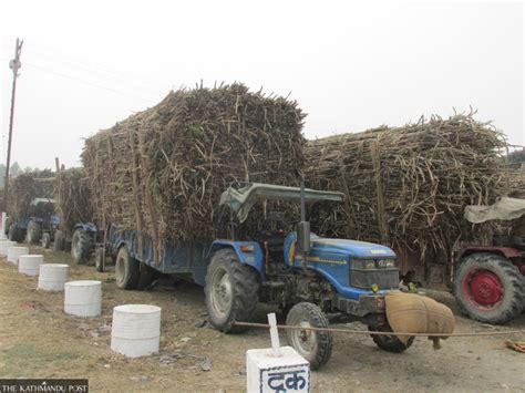 Sugarcane farmers resort to agitation again after government breaks promise