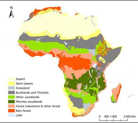 Key Characteristics Of A Savanna Biome